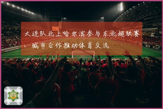 大连队北上哈尔滨参与东北超联赛，城市合作推动体育交流